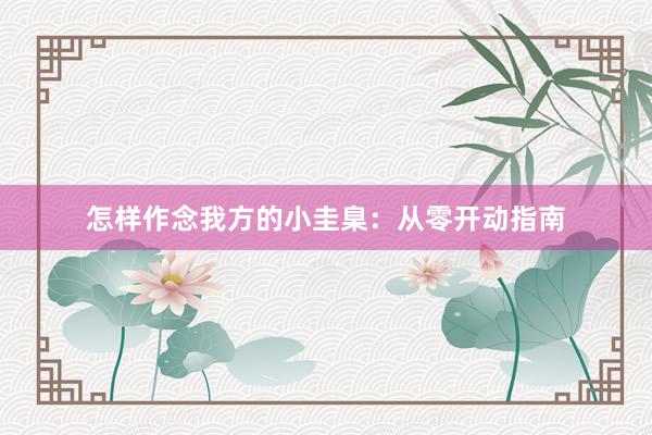怎样作念我方的小圭臬：从零开动指南